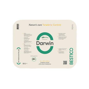 Darwin